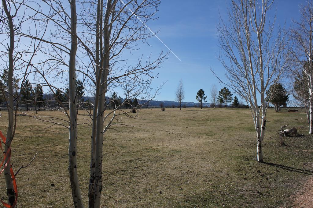 Sevier River Ranch & Cattle Company Хатч Номер фото